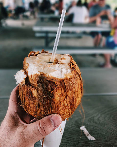 cold-coconut